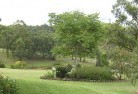 Highfields QLDresidential-landscaping-40.jpg; ?>